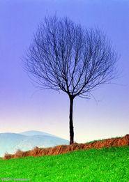 都说有事找JC叔叔，的确，普通百姓真有事了，第一时就想到拨打110报警电话求助。