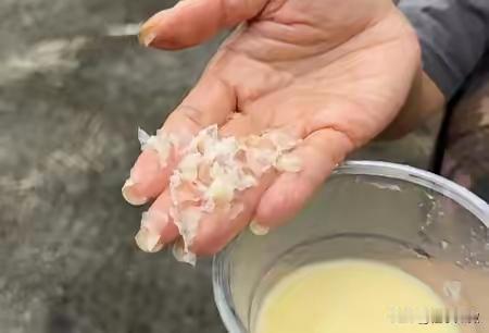 太揪心了！成都金堂宝妈带娃吃火锅踩大坑，所谓鲜榨玉米汁竟掺满塑料碎渣，商家的操作