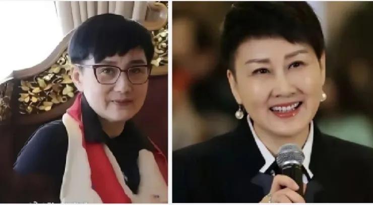 当初把李连杰迷的神魂颠倒的利智，不惜抛妻弃女也要迎娶她，如今老了，就是一个普通的