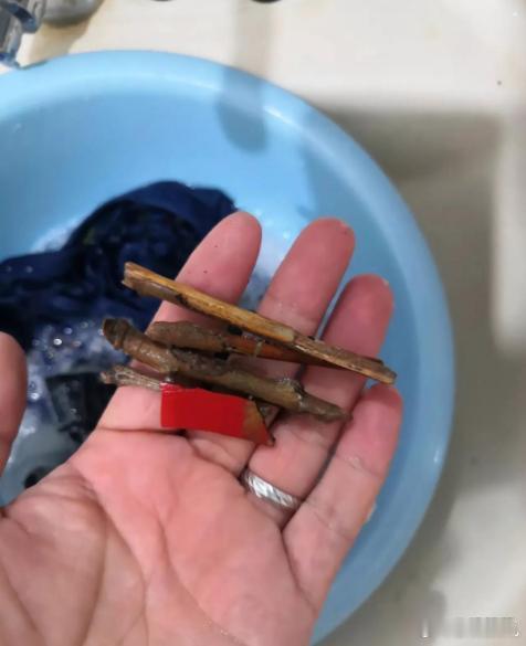 我发现孩子口袋里总有这个东西，应该能直接扔了吧？ ​​​