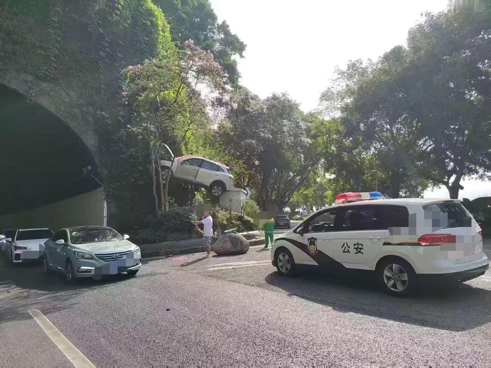 奇闻趣事 近期看到一个啼笑皆非的交通事故，出事车辆神奇的停在半坡上，不得不让人感