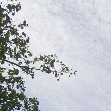 每日一善[超话]   🍀 阳光‬‬信用  🍀 每日一善  拥有一颗安闲自在的