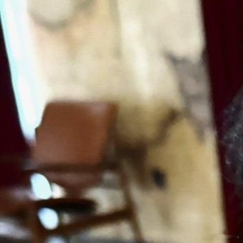 1200🫧心中不可少善，行事不可无善。人前不为恶易，独处不为恶难。任性妄为是恶