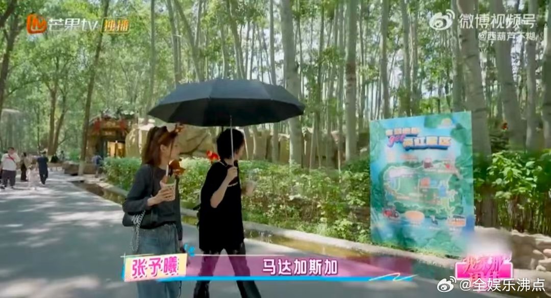 张予曦弟弟猴口夺食我家那闺女 张予曦温柔撸狐猴，弟弟反手把香蕉塞自己嘴里，猴子都