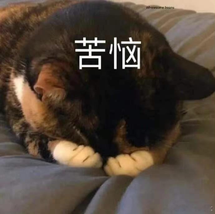 奇了怪了最近怎么这么多自然灾害啊大家都要注意安全啊！（我这天天看着马上要来的17