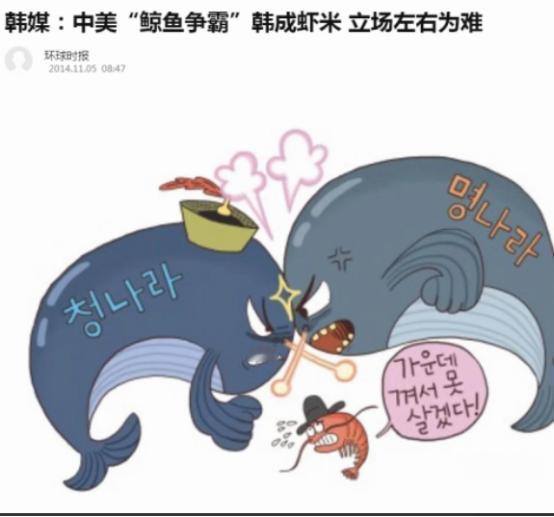 韩国人不明白：韩国也是鲸鱼，怎么面对中美，却怕得跟虾米一样？

作为东北亚地缘格