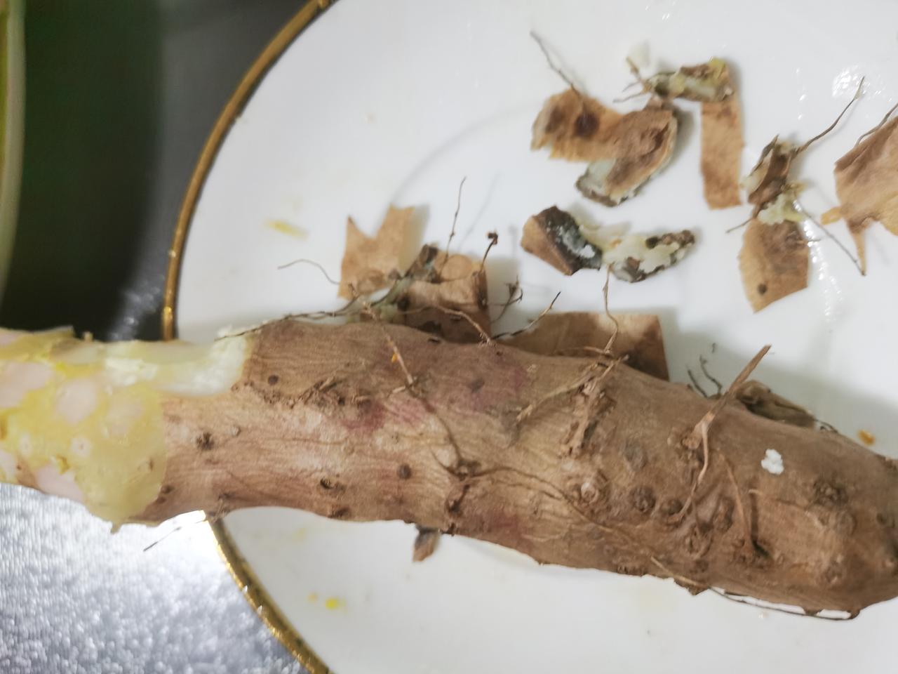 不知道谁传的谣言，说吃铁棍山药要连皮带须一起吃才有用，这样才能起到滋阴补肾的作用