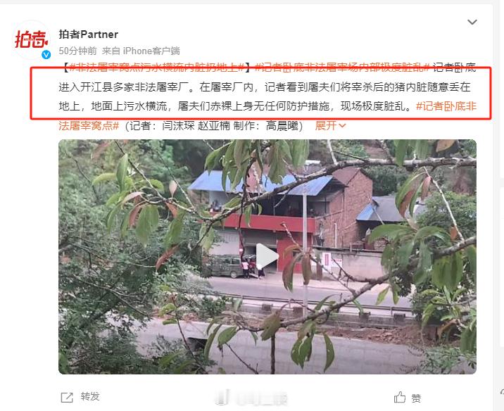 记者卧底非法屠宰场内部极度脏乱  “记者看到屠夫们将宰杀后的猪内脏随意丢在地上，
