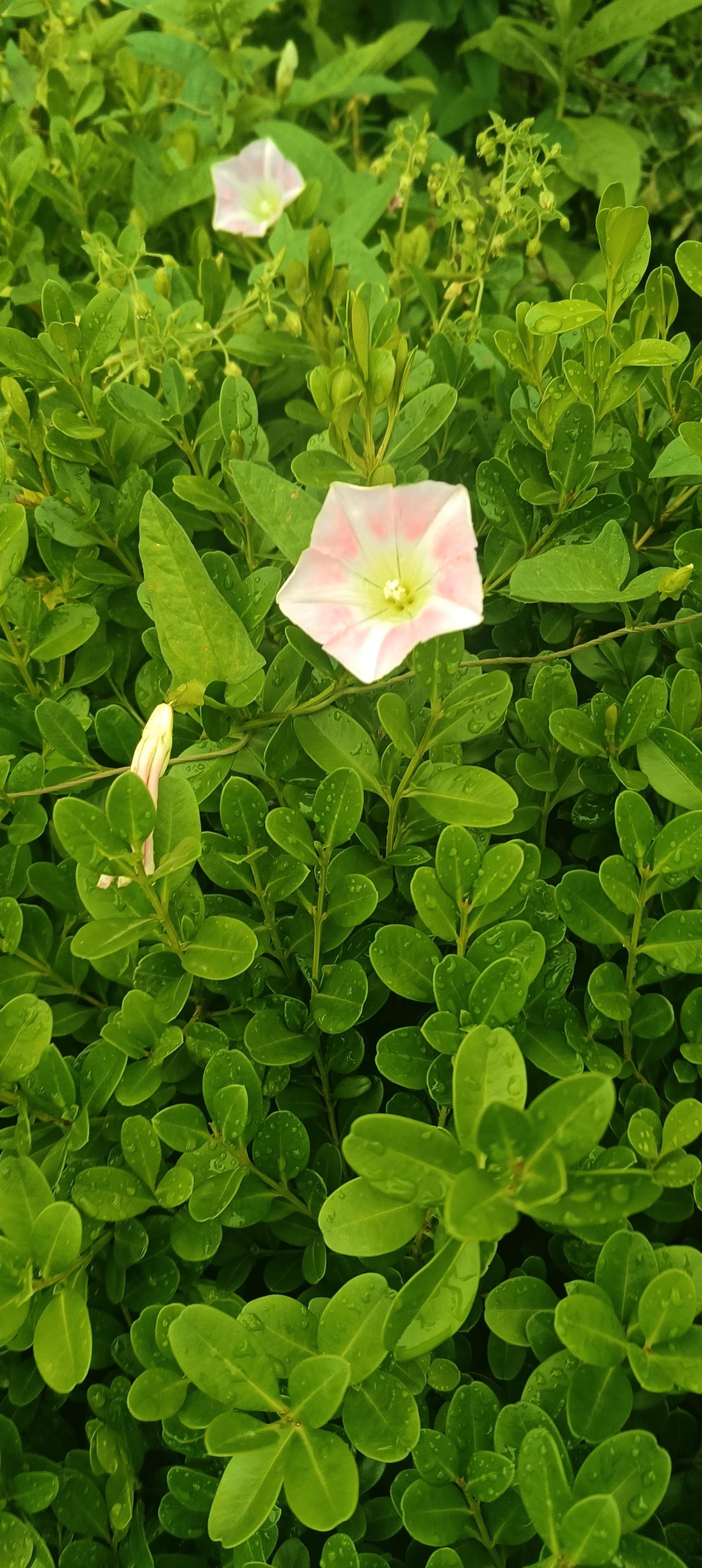 你的工资卡里从本月起或将多收到一笔钱
6月1日起全国大多数地区开始为劳动者发放高