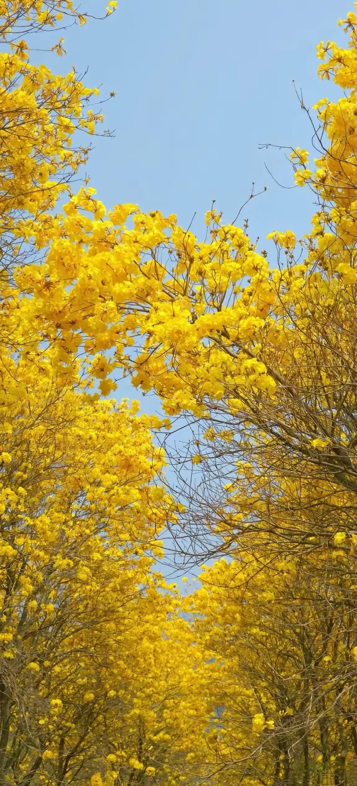 我相信，心存善良 会越来越好善良是一种福报,你相信吗?