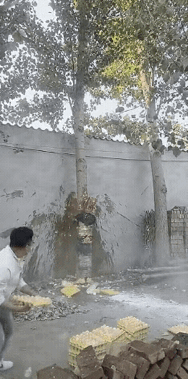 太恶劣了！哪里的丑陋风俗习惯？

过去拿鸡蛋砸人是对那些十恶不赦的人为了让他遗臭