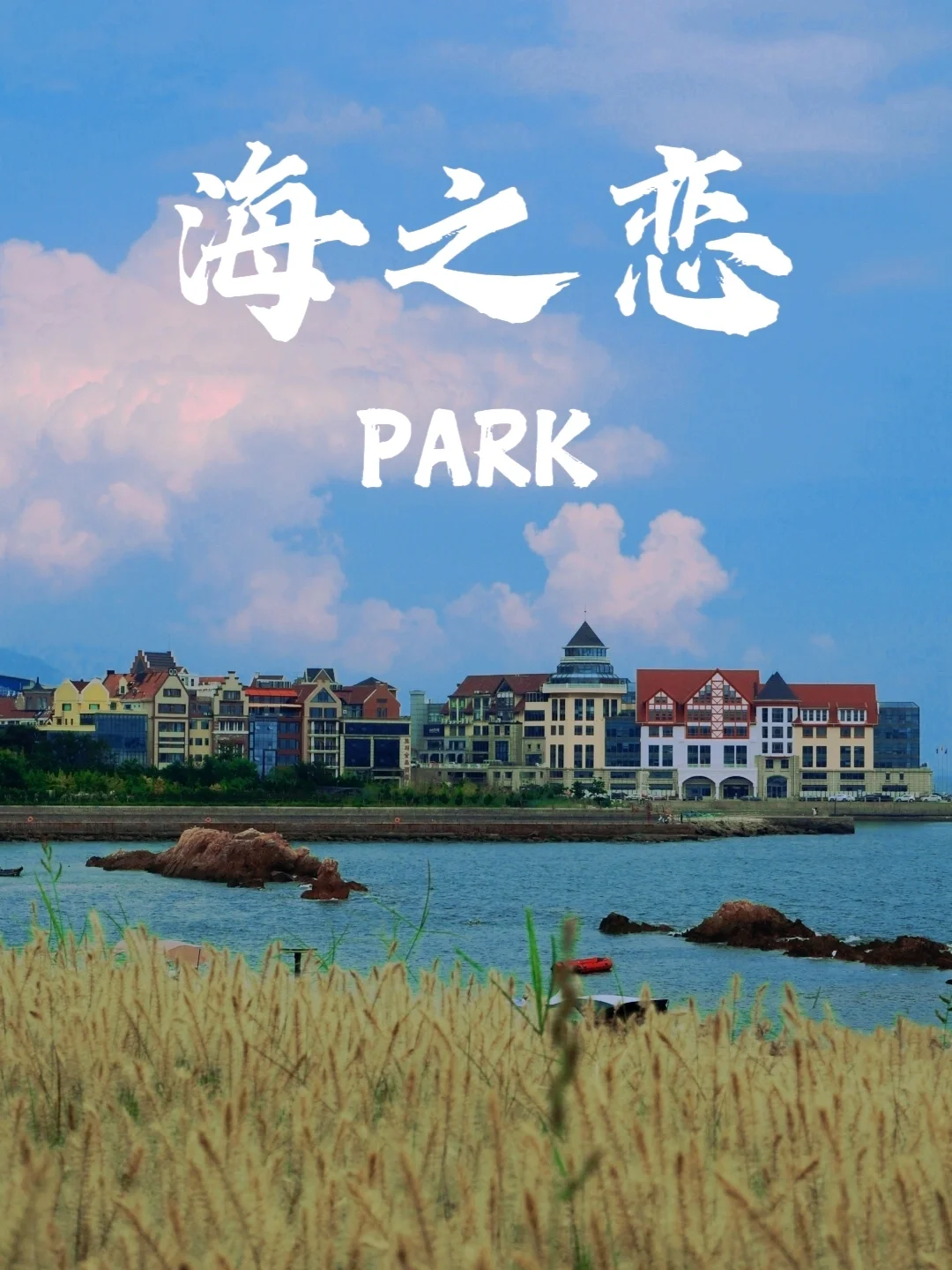 人生建议：来青岛一定要来这个地方看海❗️