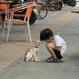 冬月爱看军事