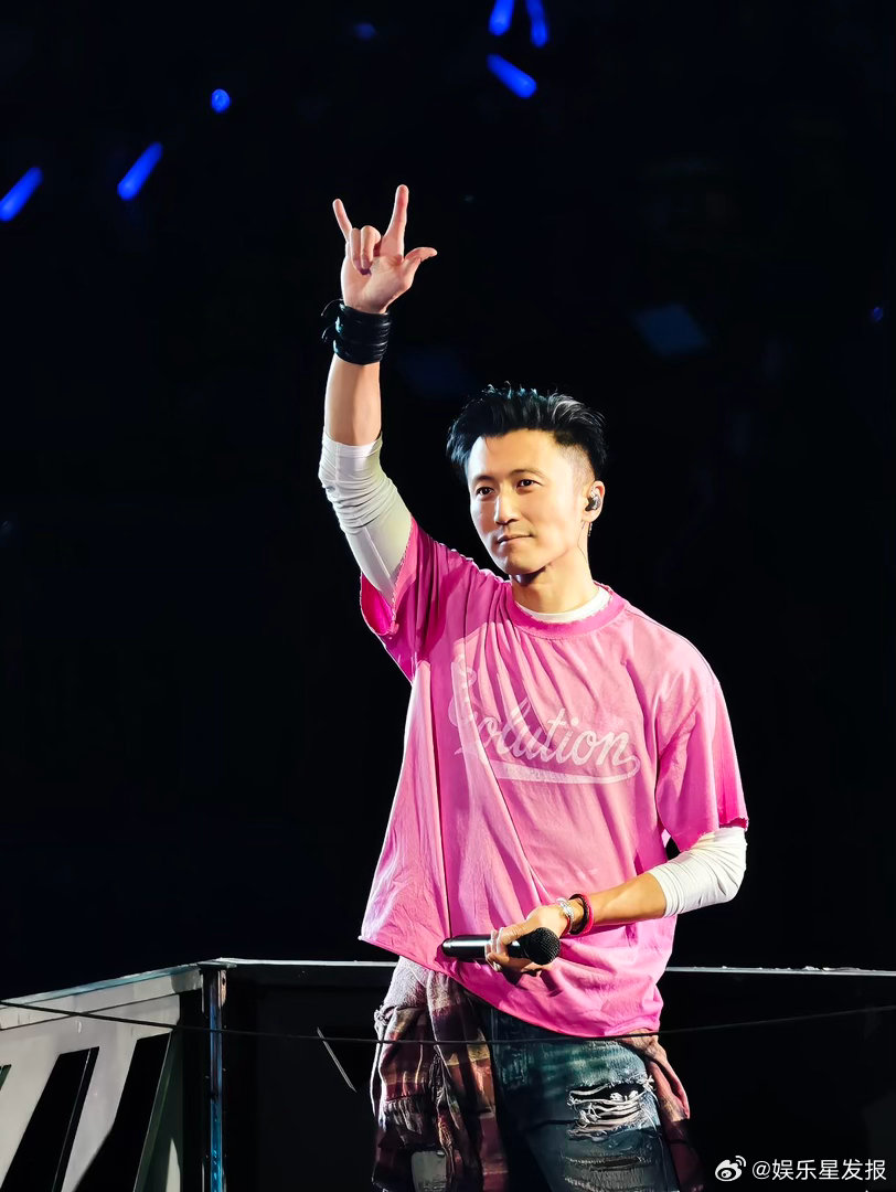 东北大哥来谢霆锋演唱会也得叫老公别笑，你来了谢霆锋演唱会现场你未必有大哥理智😂