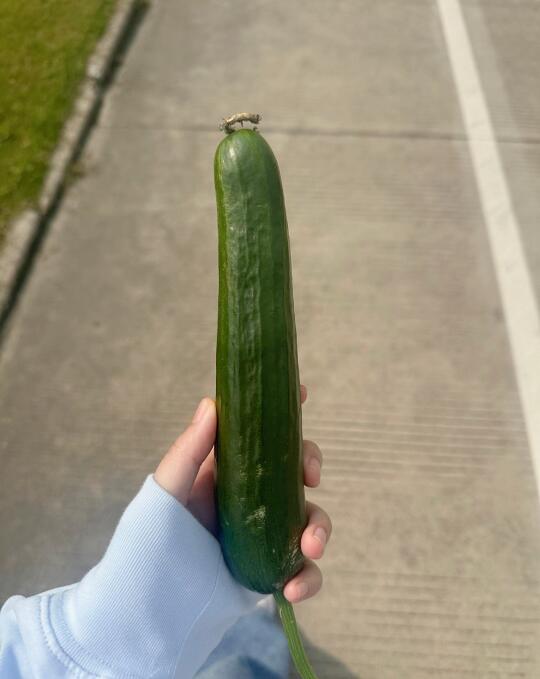 今日拉屎有感：有没有人觉得男人有时候和黄瓜真的很像 首先外形方面：都有...