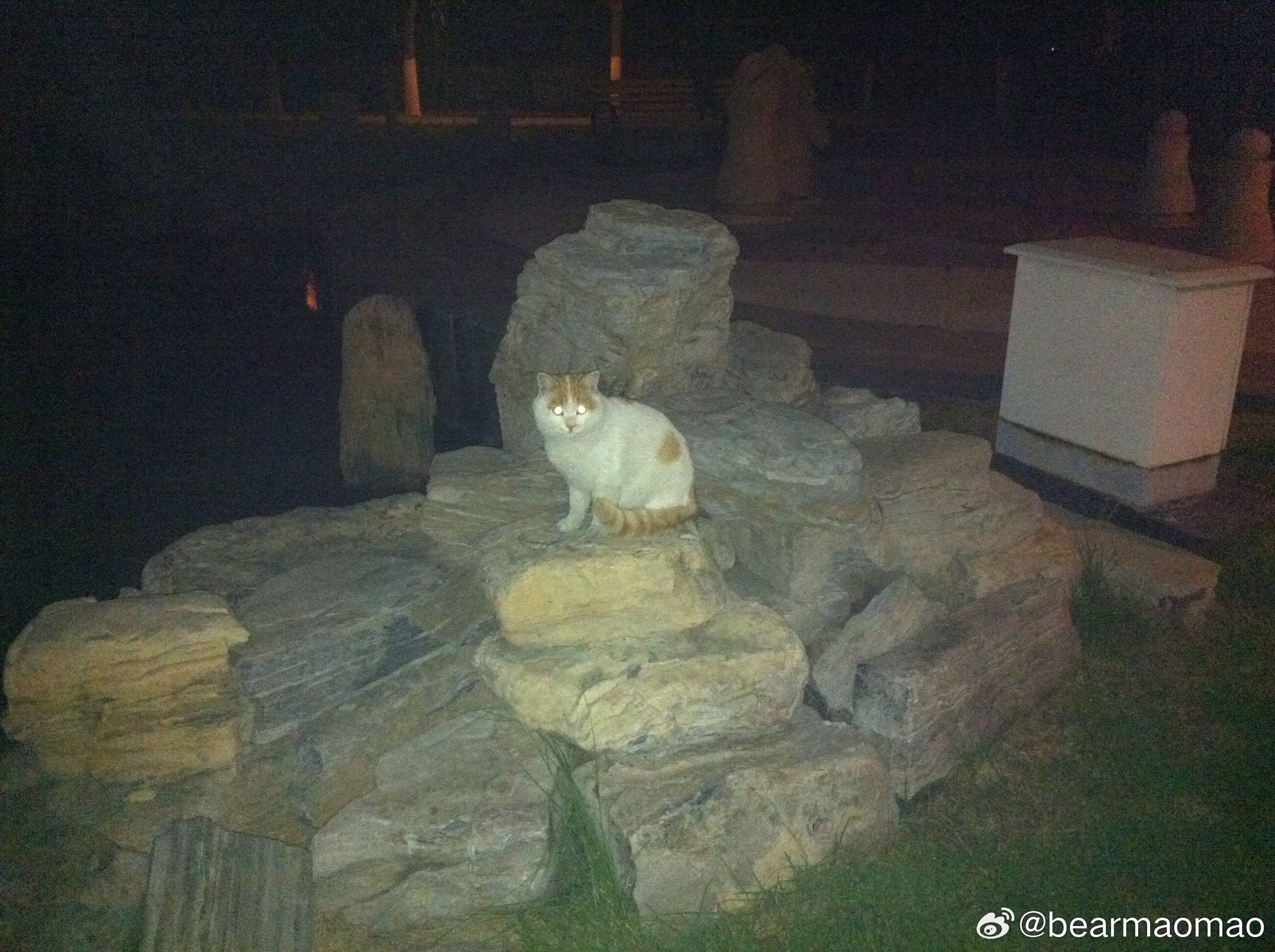 16年前的社会你黄哥 