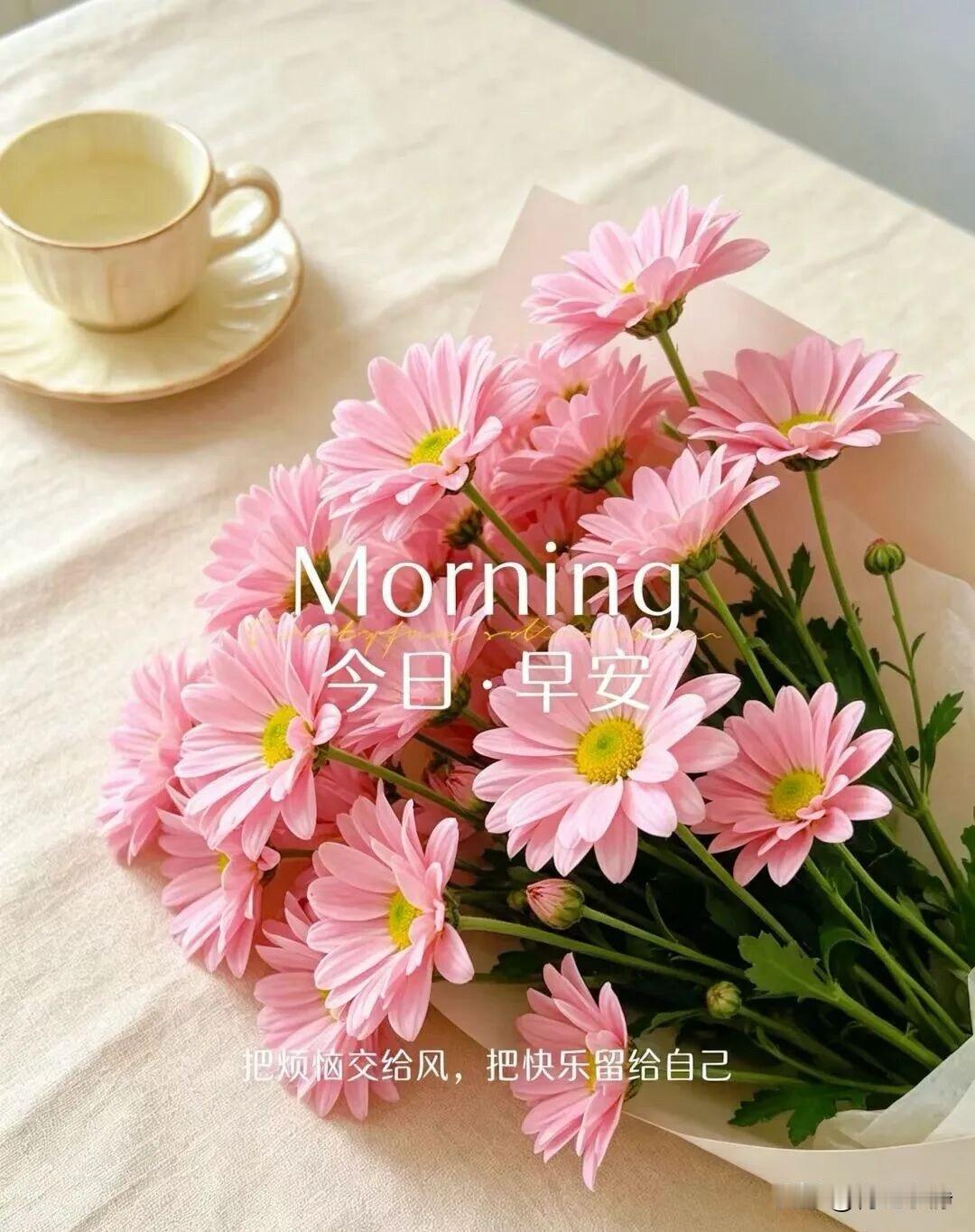 🍎 ²⁰²⁶/₀₄.₂₇🧨ᵕ̈ 🐎🍃🌻
🍃𝐆𝐨𝐨𝐝 𝐌𝐨