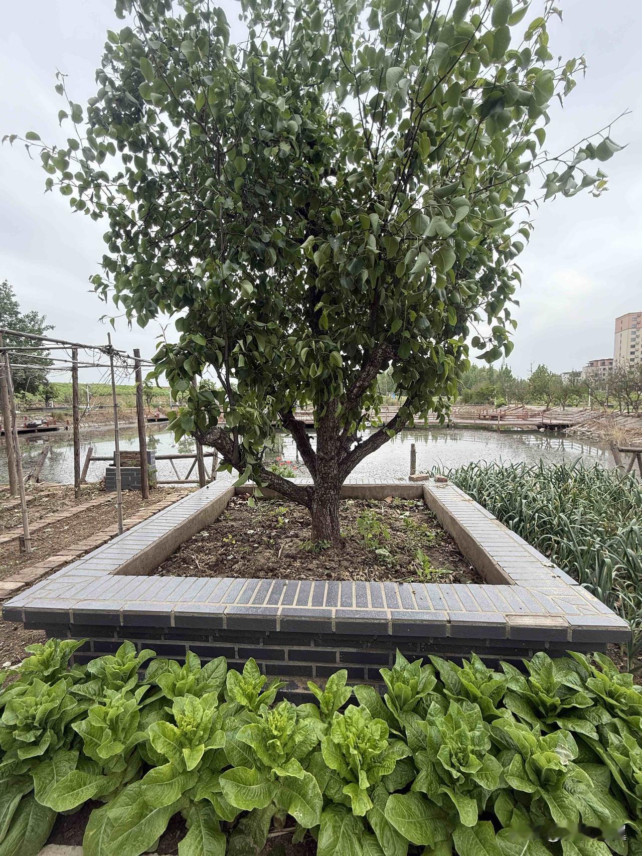 【小对联】
上：恶犬；
下：……？