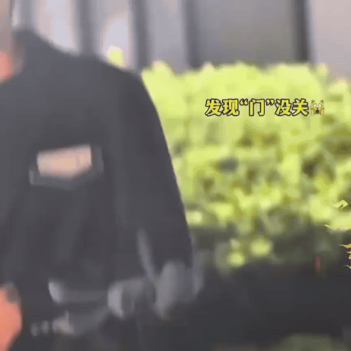 这也能凑个合集了呃呃 