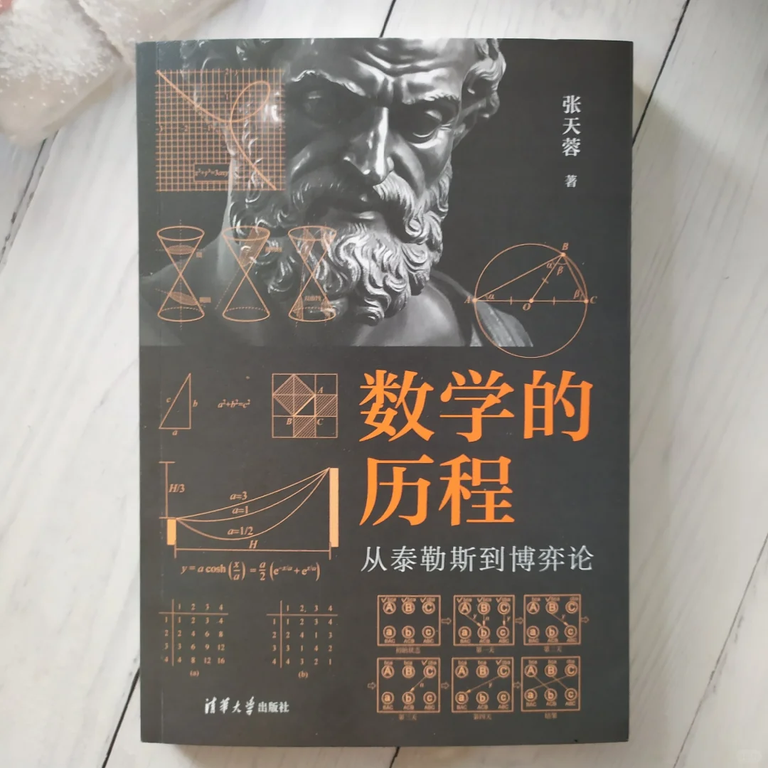 数学的历史也是思维魅力的历史