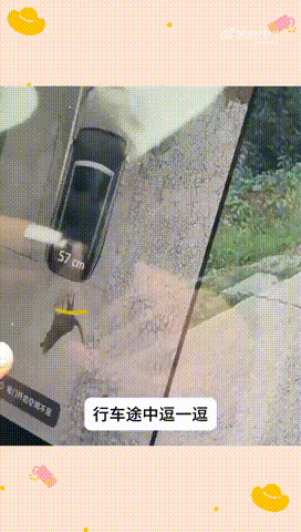 七夕杜海涛糖量超标杜海涛瘦了这么多吗很多人过节追求仪式感拉满，杜海涛沈梦辰选择回