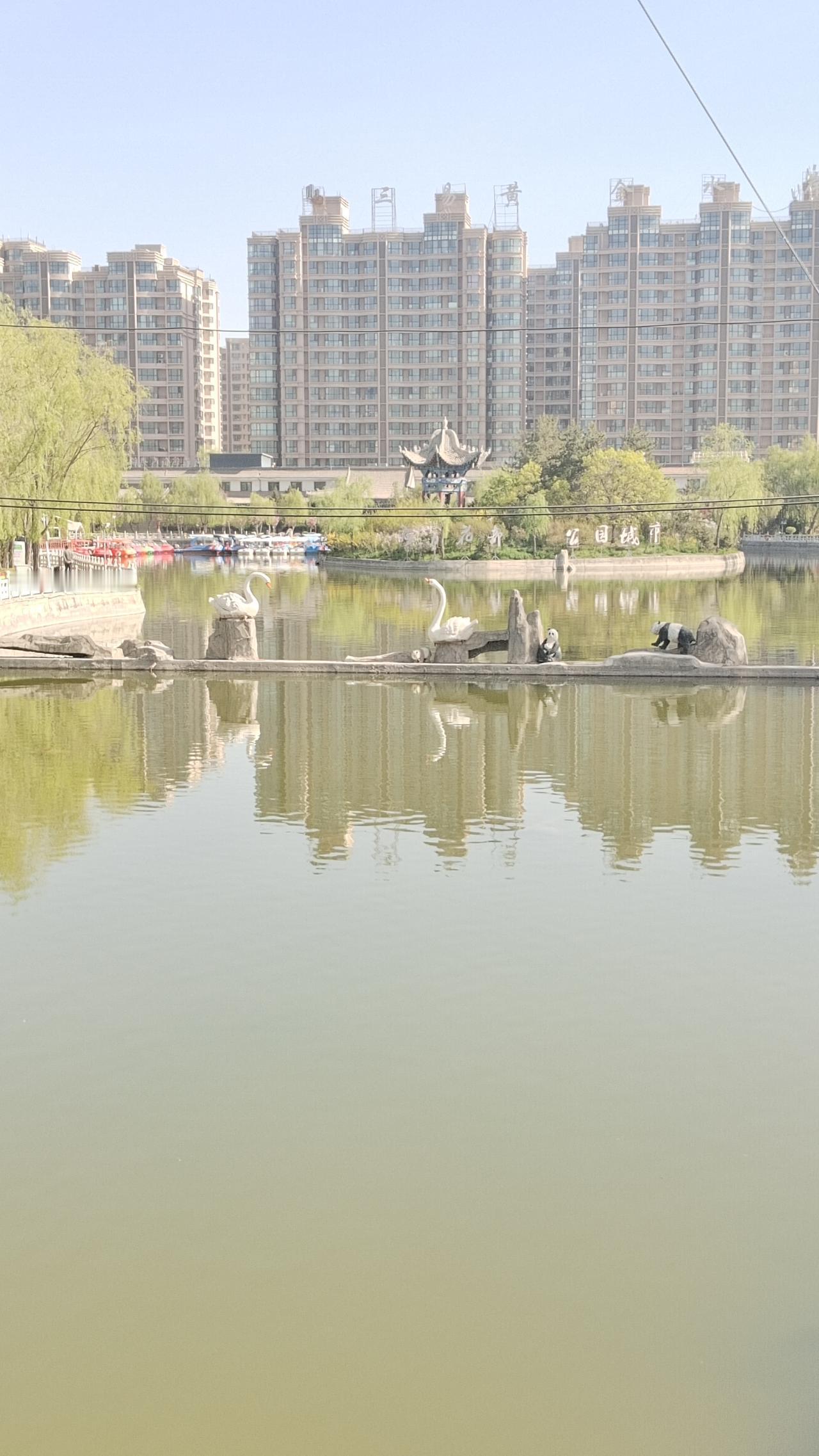 宁静的湖畔，白鹭轻盈地翩翩起舞，展现出城市与自然和谐共处的美妙景象。在这宁静的湖