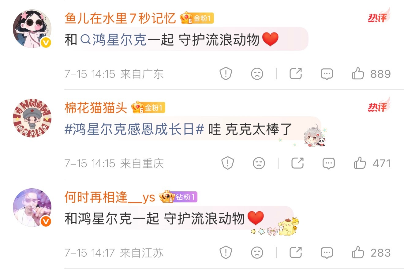 鸿星尔克官宣流浪猫狗守护计划真正有温度的公益，从不是短暂的发声，而是长久落地的实