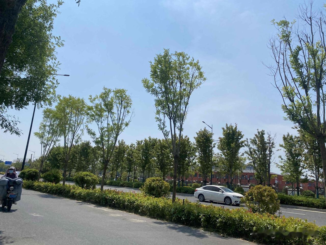 晒图笔记大赛阳光明媚的午后，绿树成荫的街道，悠闲的时光。