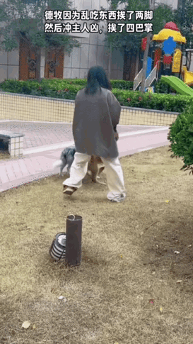 实话实说，给我五百万，都不敢养这种大型犬！[捂脸][捂脸][捂脸]