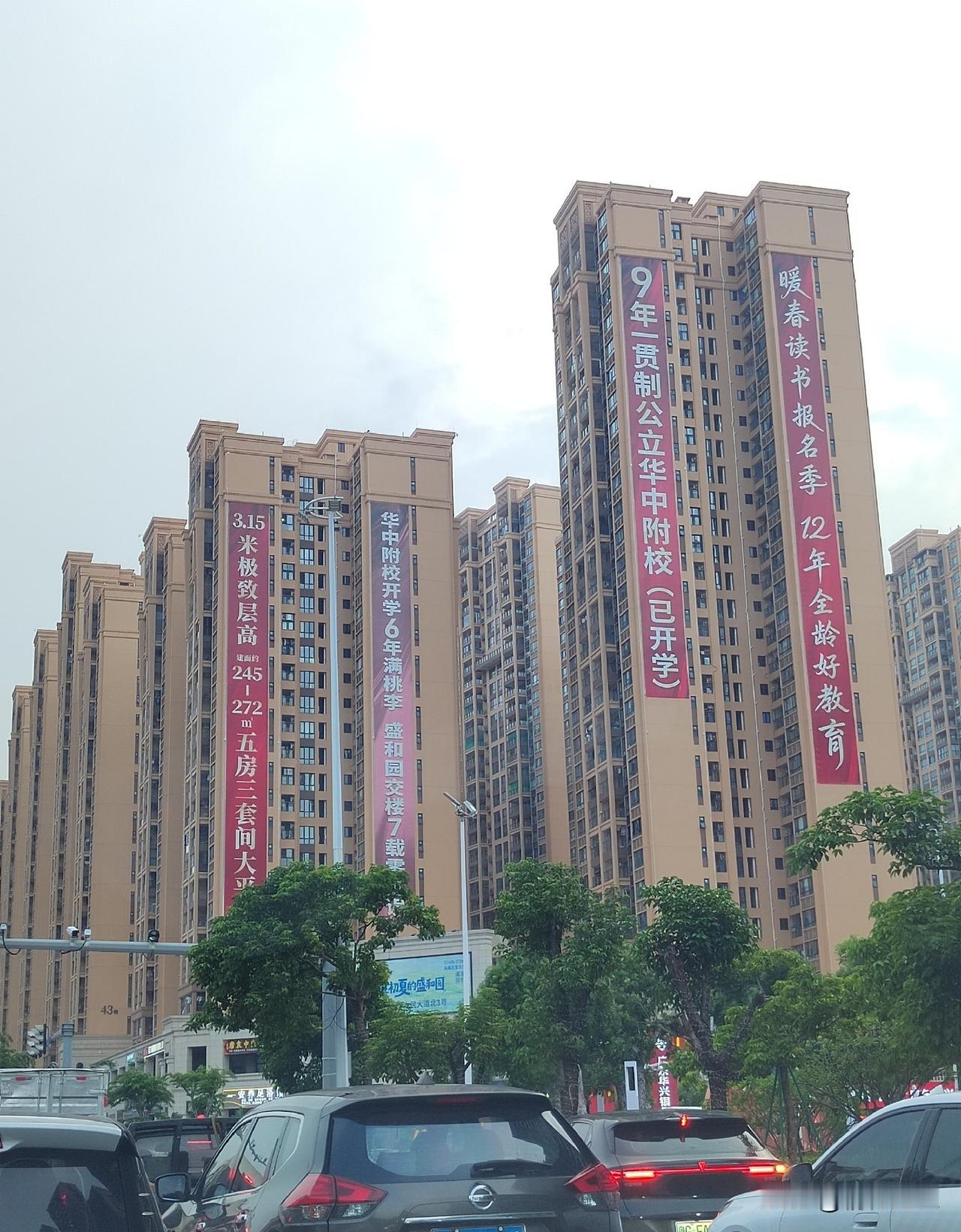 在湛江市区龙潮路，不到一公里的距离内竟坐落着三所九年制学校！这三所学校分别隶属于