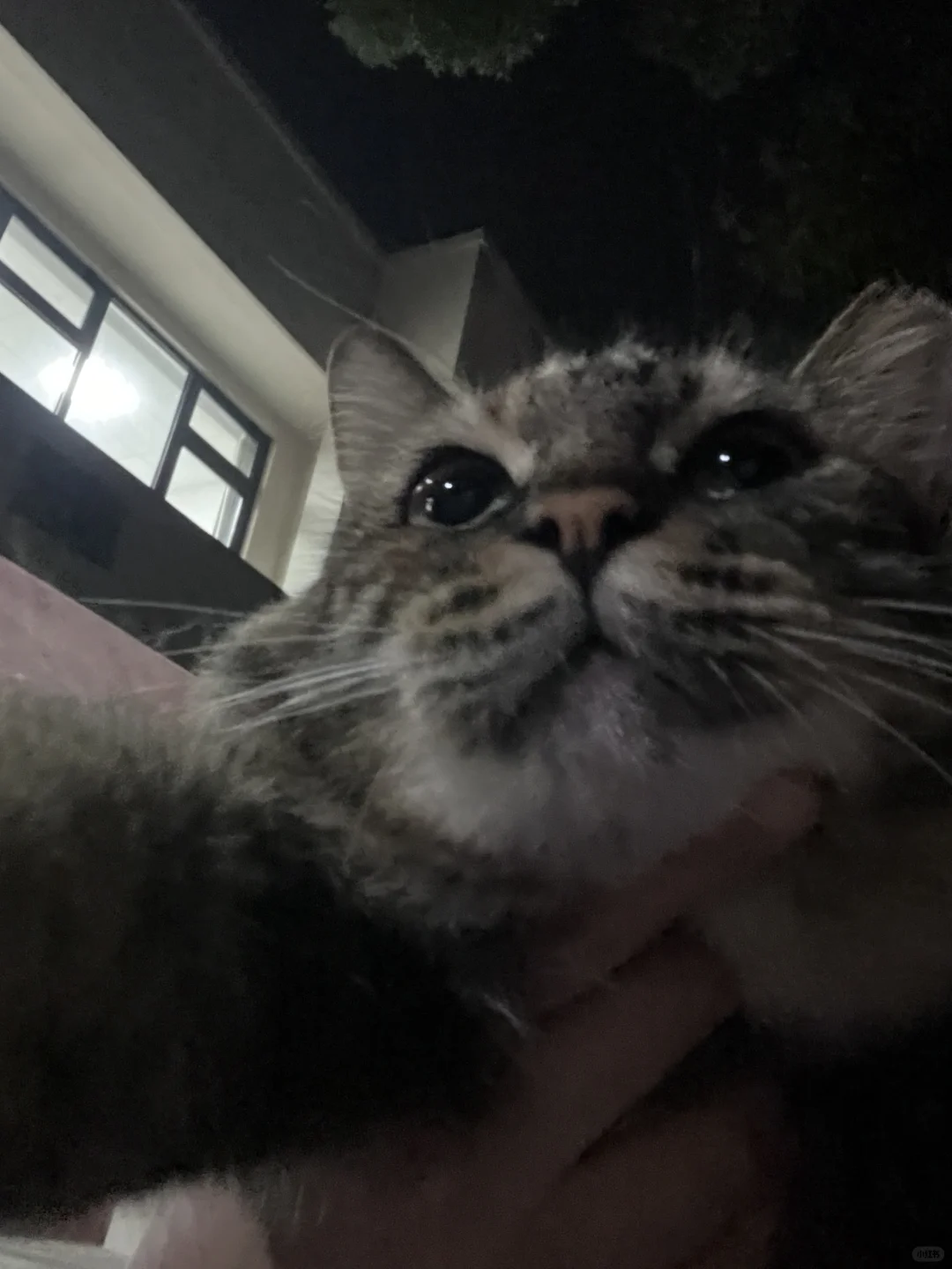 这个自拍什么水平