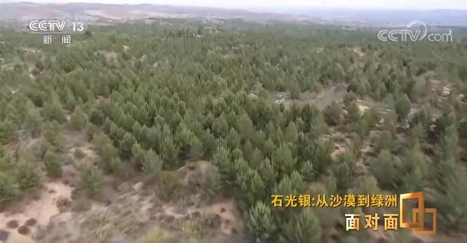 1998年，石光银种下的6万亩林场被纳入生态林场，禁止砍伐。这样一来，石光银手握