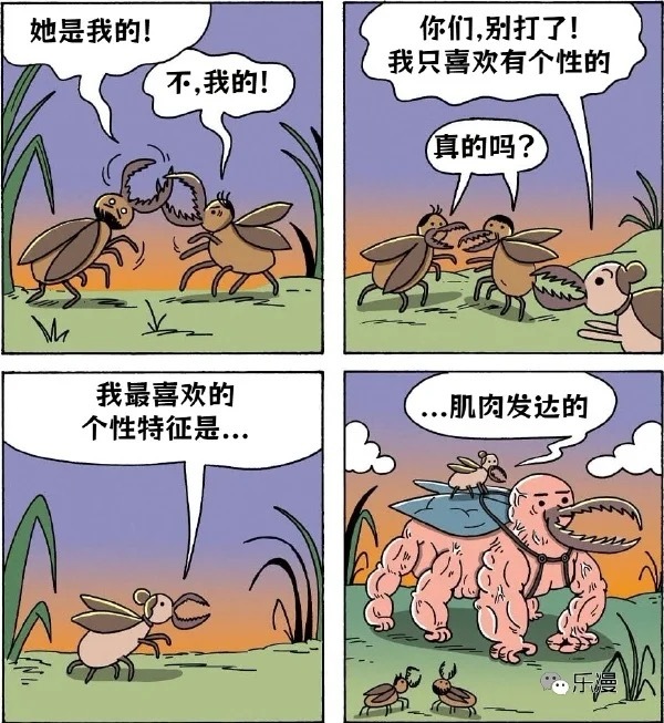 她是我的 