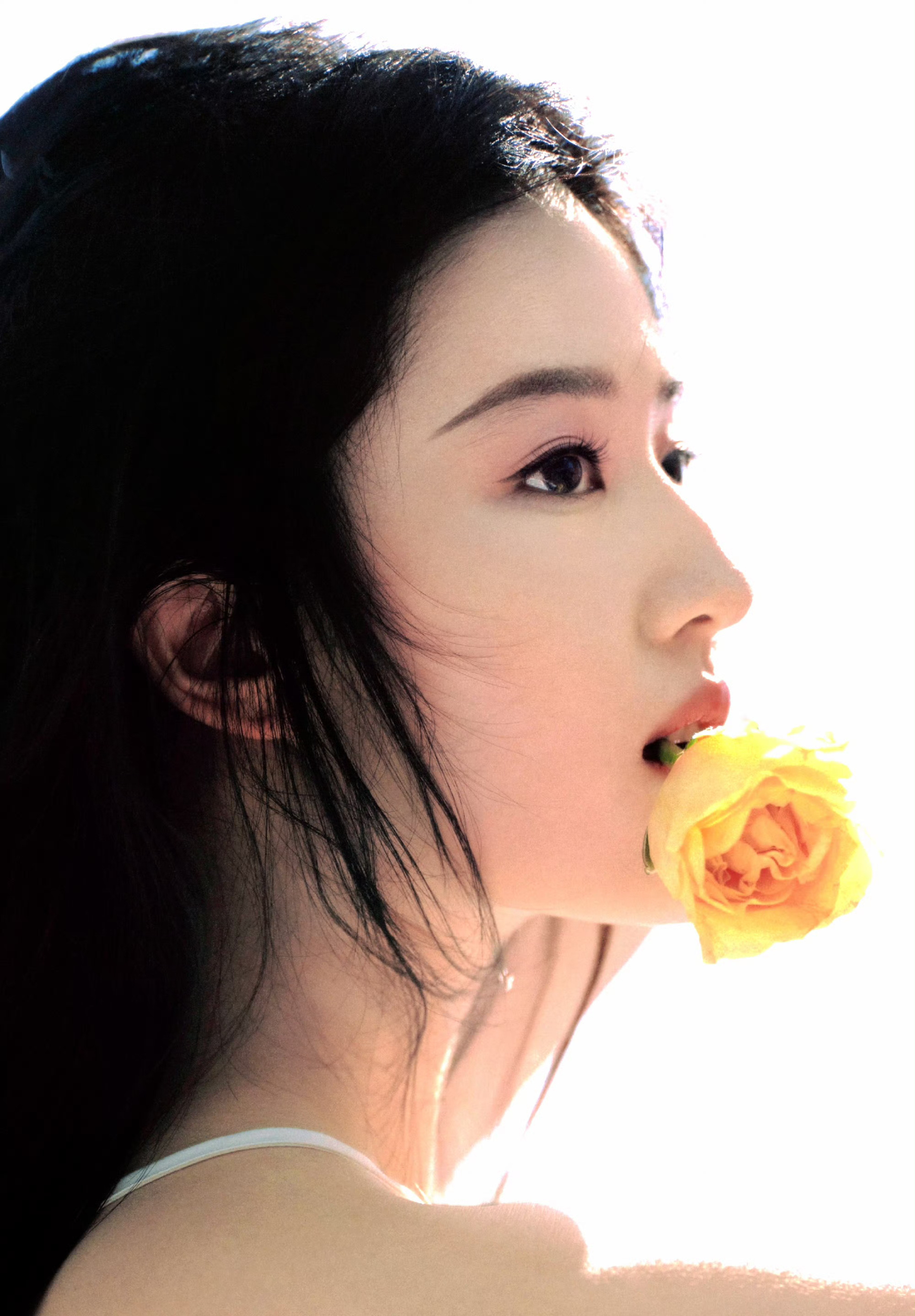 如果我拿出刘亦菲这张图，阁下又该如何应对？ ​​​