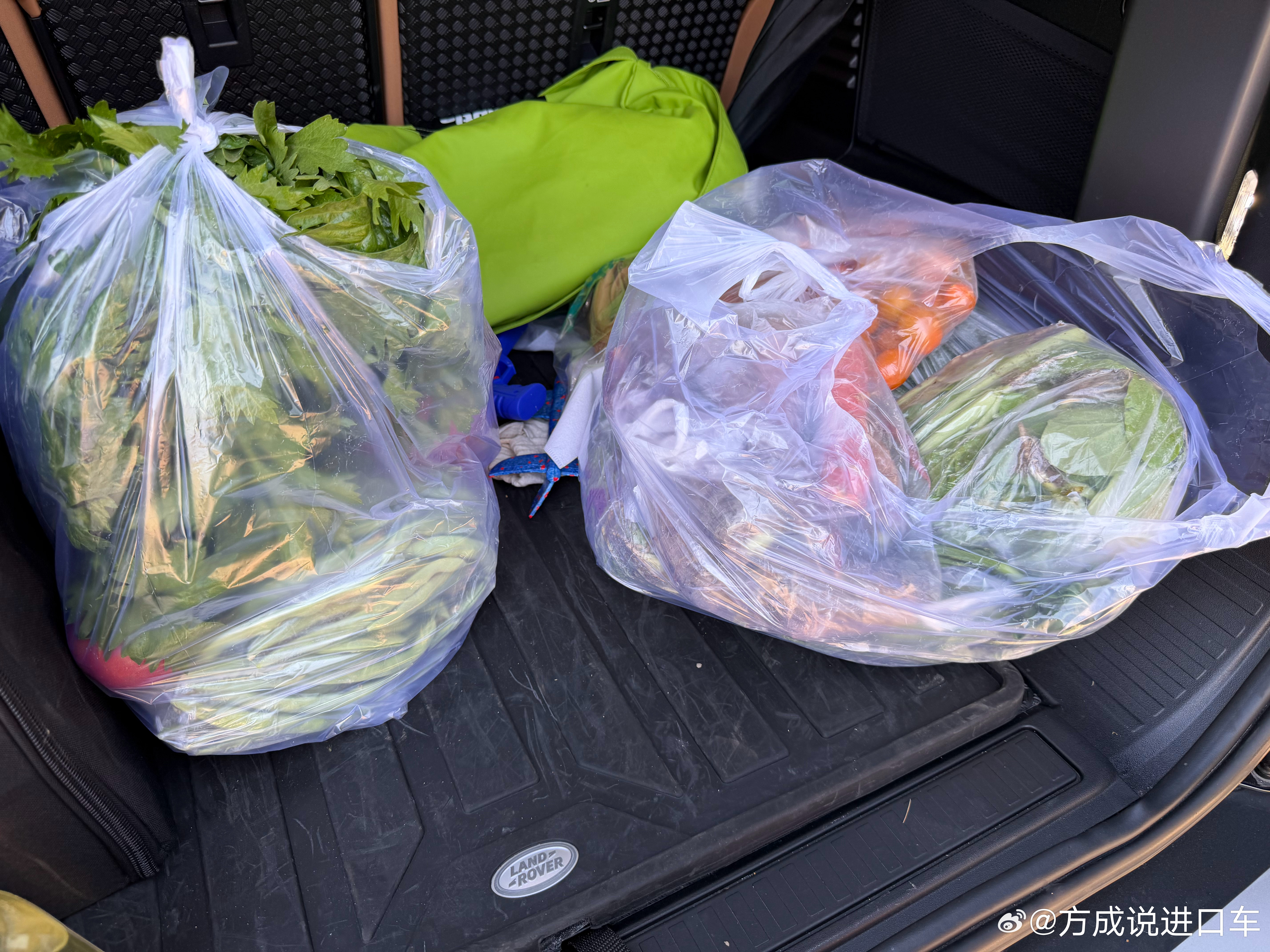 带孩子挖了3小时10斤菜有西红柿 胡萝卜 豆角 小白菜猜猜花了多少？ 天津