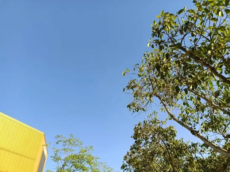 蓝天，没有白云，那是一种纯粹而深邃的美。
就像一片无尽的蓝色海洋，让人沉醉其中。