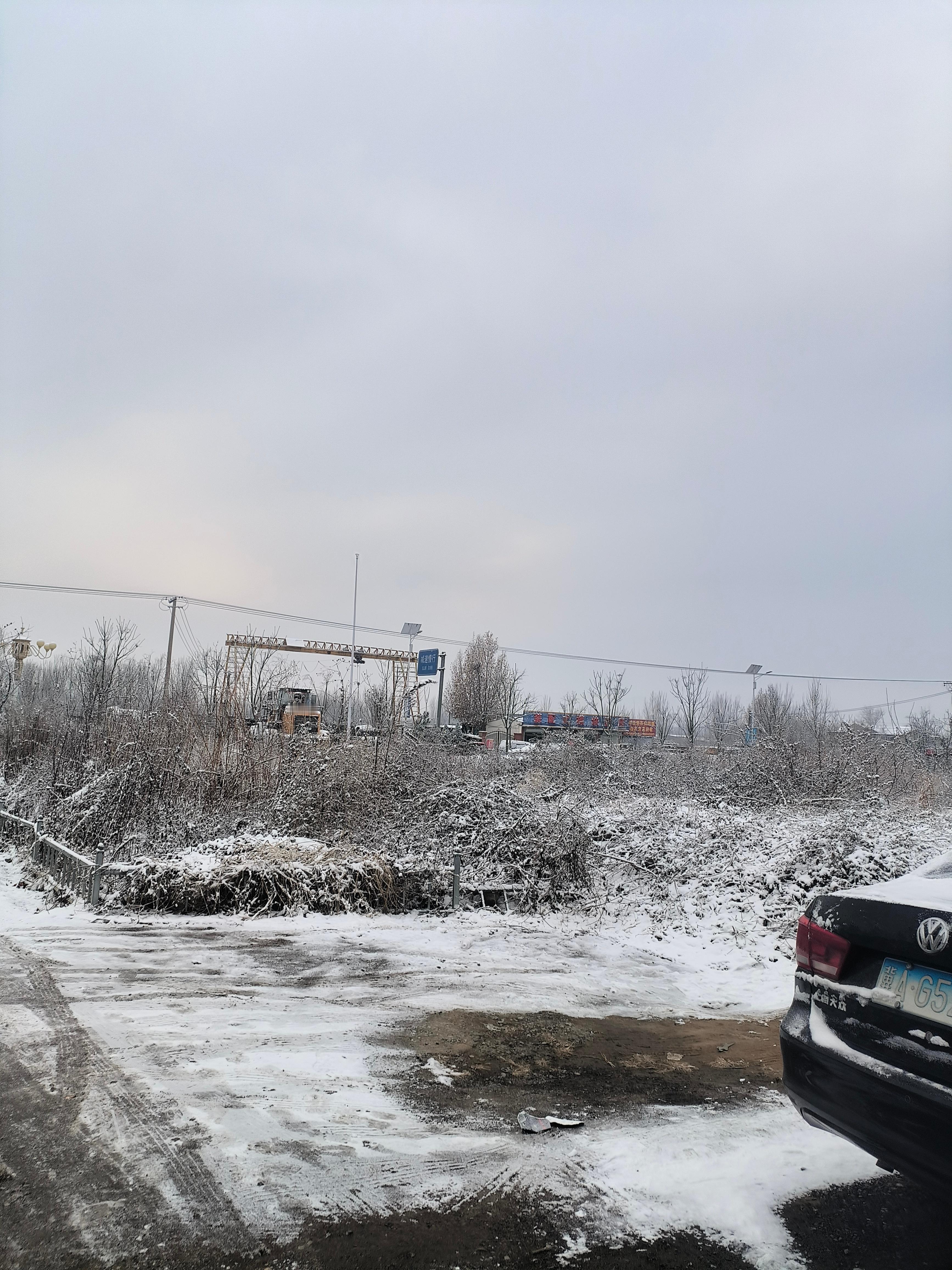 看看雪后哪里都是白茫茫一片，好看的好看，就是冷，路也滑，都不敢走。 