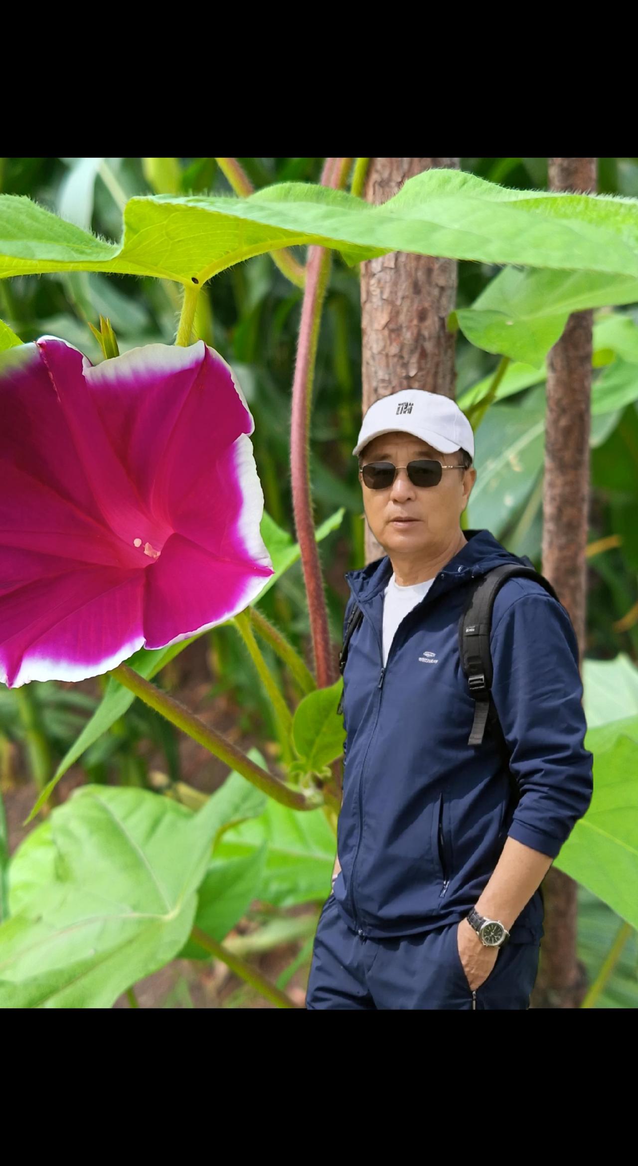 。为什么叫牵牛花 。一一