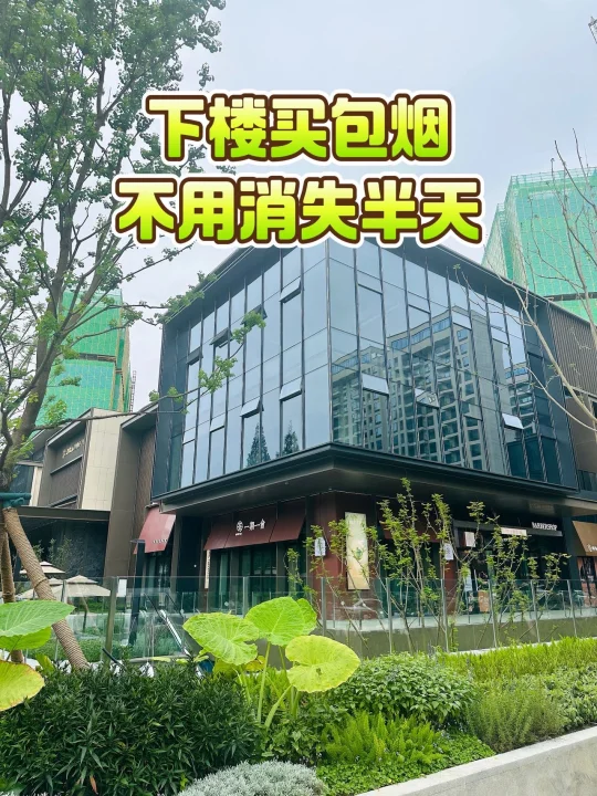 下楼买包烟，不用消失半天！主城改善新选择！