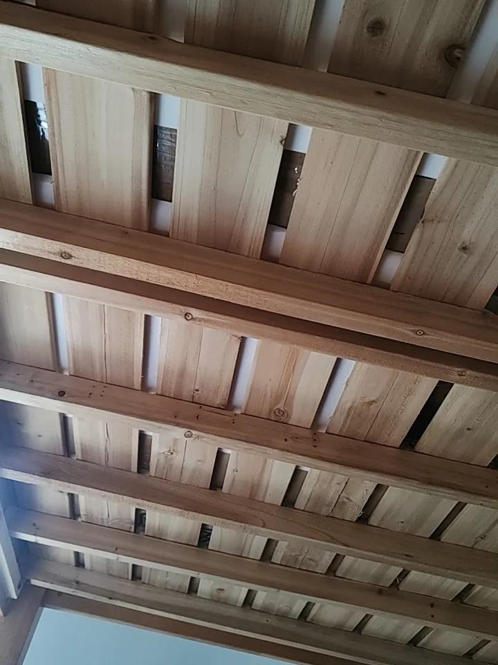 知道这是什么吗