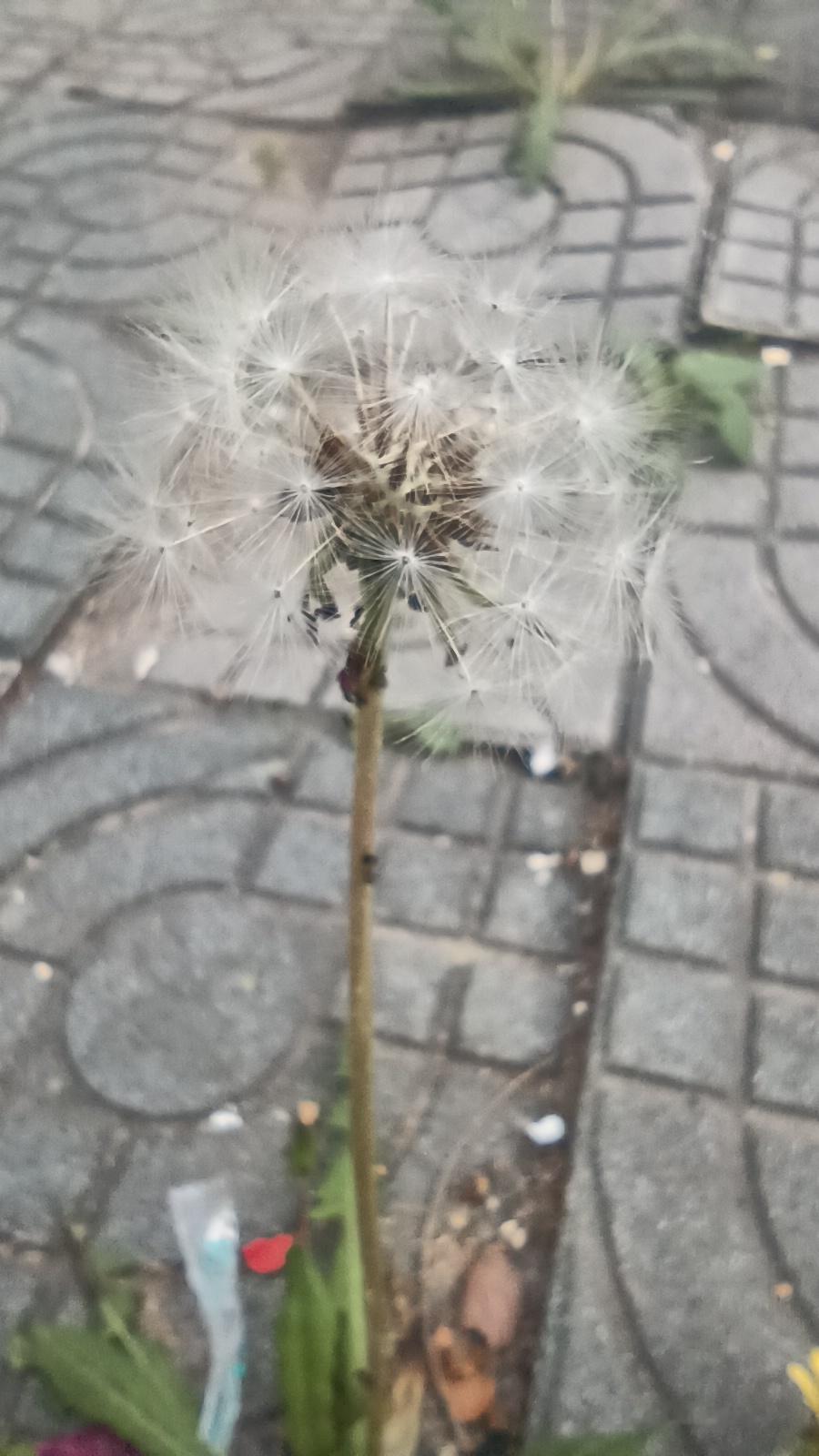 很多人从小都听过一句话：天生我材必有用。
以前总深信不疑，长大踏入社会才慢慢明白