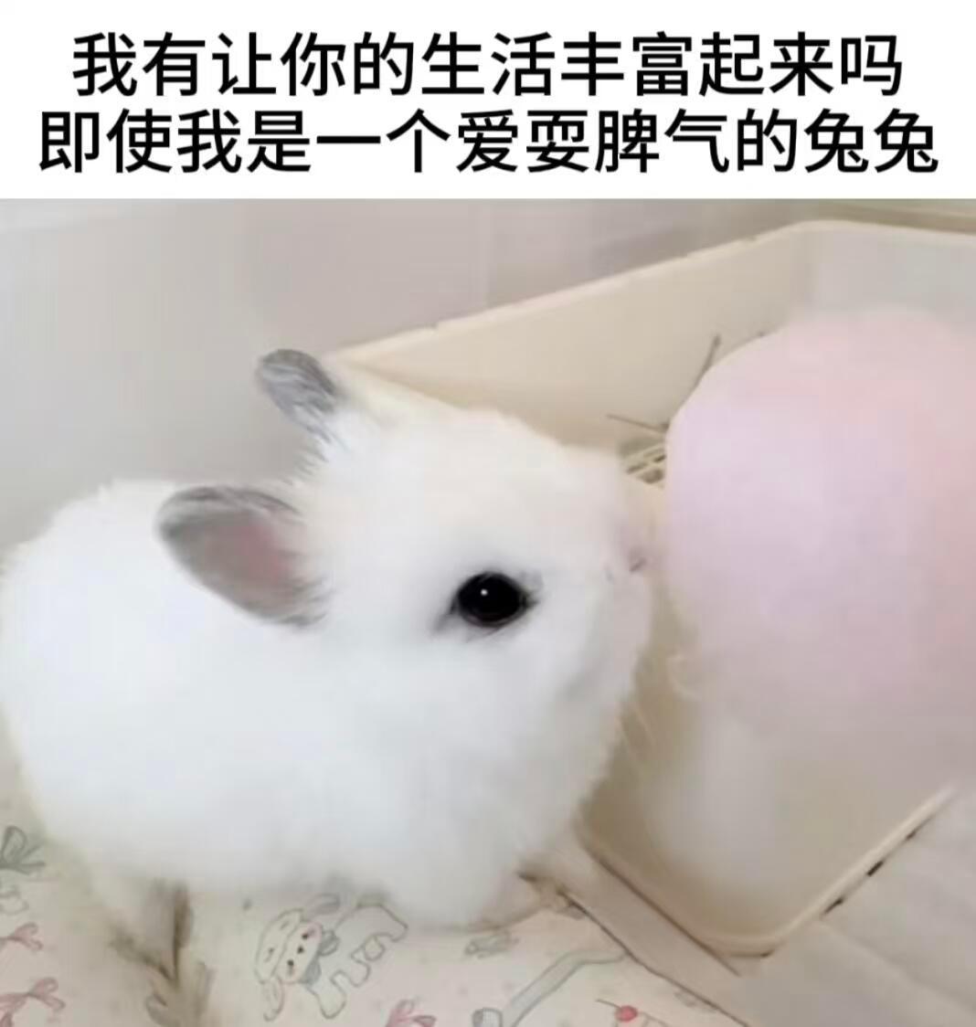 德概念 ​​​