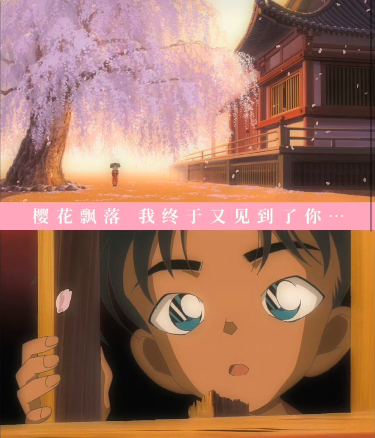 “在重逢的樱花树下，心跳比我先认出了你”平次与和叶始于樱花树下的青梅竹马之恋，因
