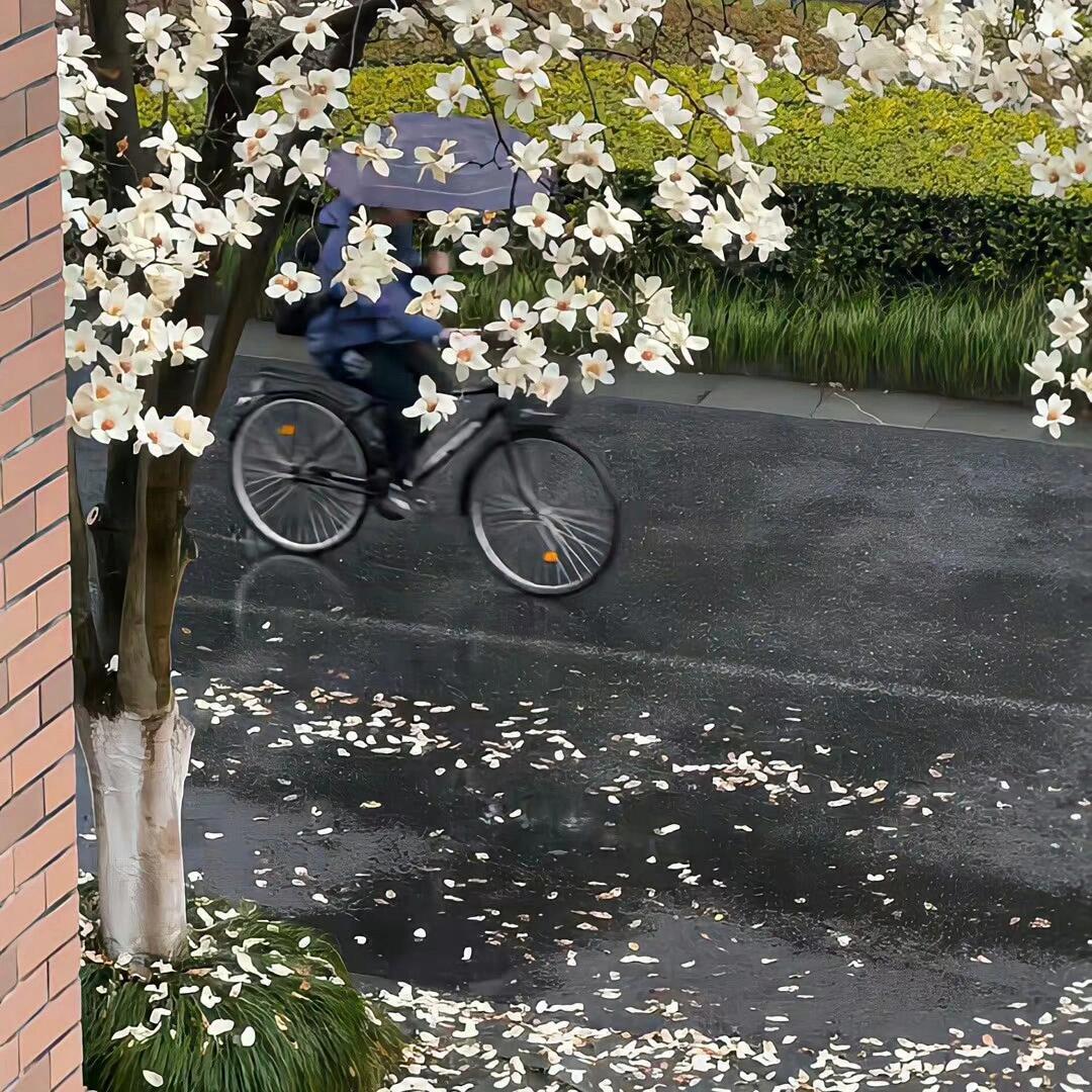 人生是场体验 所以每一个瞬间都是绝无仅有 永远不必为抓不住过去的流水失落 因为属
