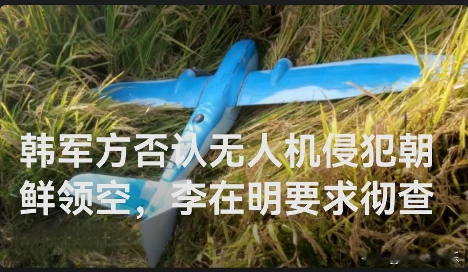 韩军方否认无人机侵犯朝鲜领空，李在明要求彻查

   据外媒韩联社10日援引韩国