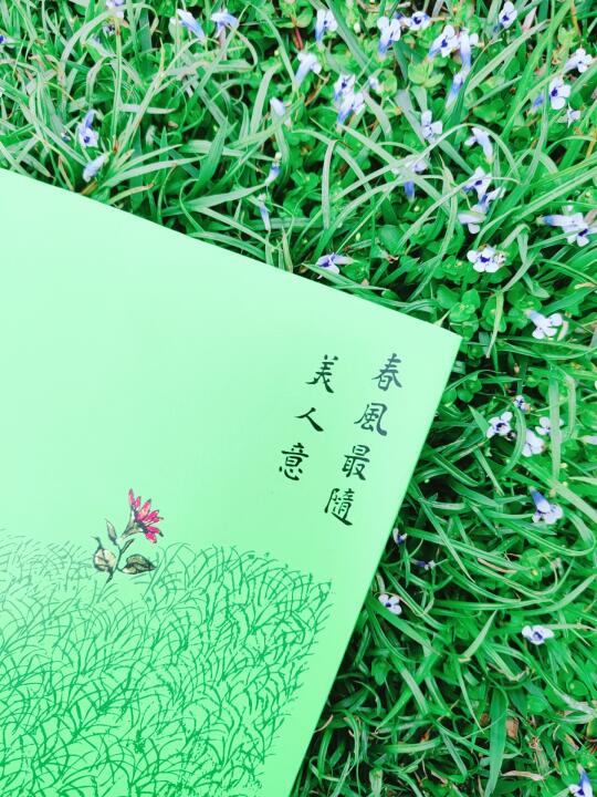 📚「救命！这本书让我重新定义了“美”！