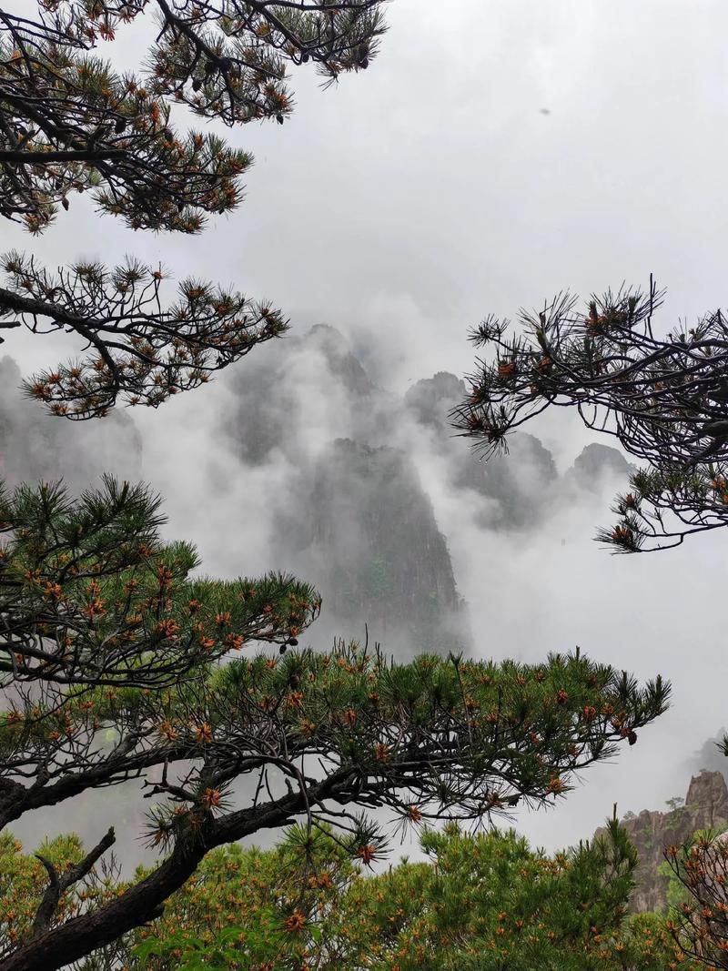 春假期间，女儿两口子带孩子一准备第二天登黄山，结果第一天晚上天气预报说有大雨。