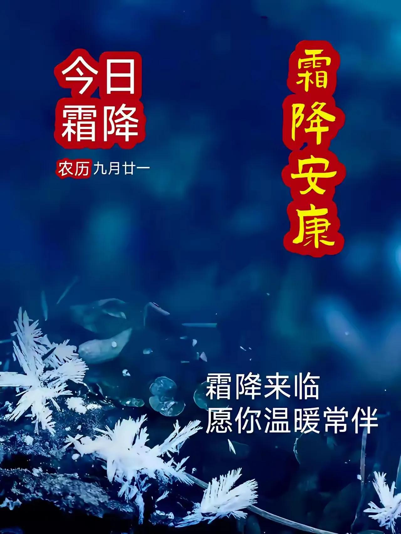 今日霜降，祝诸师友幸福、安康！
#二十四节气的心愿#


晨起薄雾细风寒，江南秋
