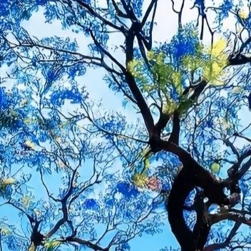 阳光信用 阳光信用每日一善 最好的生活，不在别处，它在我们的心间。心安宁，人生安