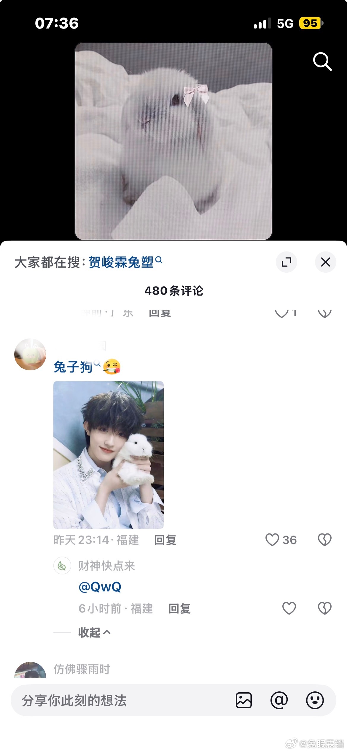 ？什么新物种叫兔子狗 